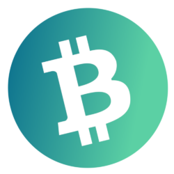 Bitcoin Fees Live logo